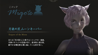 Illustration for article titled The 10 Tribes Of Final Fantasy XIV - Oh Look, Dark Elves!